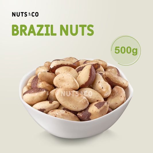 Nuts & Co Brazil Nut (Raw) Kacang Brasil 巴西坚果 Halal Ready to Eat Snack